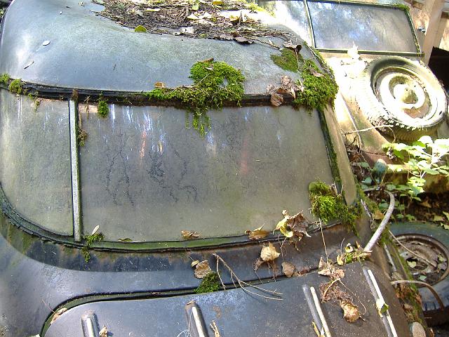 Autofriedhof - 074.JPG